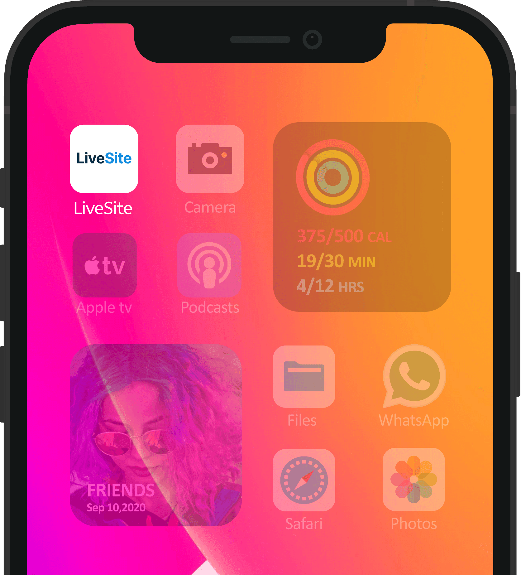 LiveSite app on iPhone home screen